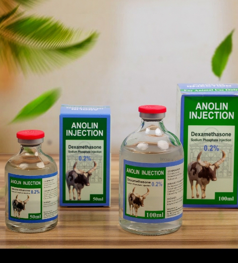 Anolin dexamethasone injection