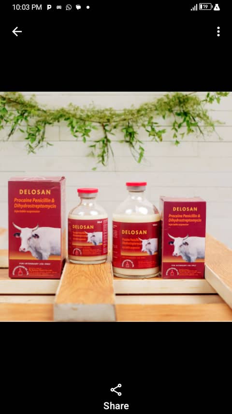 Delosan veterinary injection